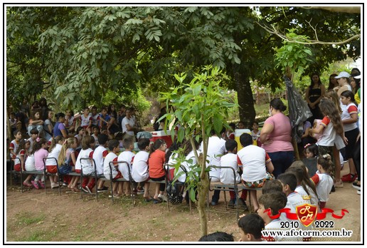 rolim de moura